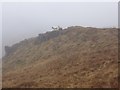 NN1162 : Sheep on the summit ridge of Mam na Gualainn by Steven Brown