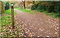 Two Paths, West Wickham Common