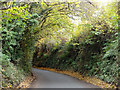 Lane from Buriton towards Sheet and Petersfield