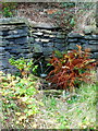 Trough on Elland FP54 at Lower Ellistones