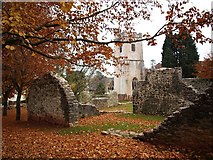 SX8767 : Remains of Manor House next to the church, Kingskerswell by David Gearing