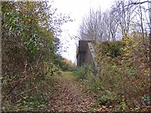 SO9298 : Railway Path Bridge by Gordon Griffiths