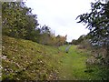 Railway Path Scene