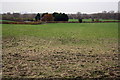 View across fields near Upper Grange