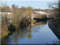 Canal reflections