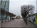 Winter trees, Greenwich Peninsula