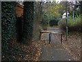 Walkway, goldsworth Park