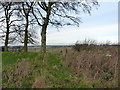 Pistern Hill trigpoint