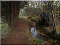 Footpath by the brook