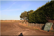 TF4299 : Relief carpark at the Donna Nook seal extravaganza by Chris