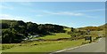 Near summit of Great Orme