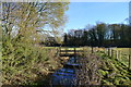 Footbridge across the River Witham near Easton Lane