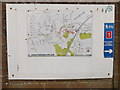 TM3877 : Map of Halesworth in the Car Park by Geographer