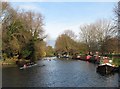 Winter sunlight on the Cam