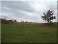 Entrance to Roman Fort at Gamesley