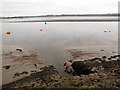 SX9685 : Stream outfall to the Exe by Stephen Craven