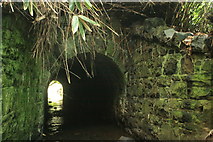 J3873 : BCDR first culvert over Knock River (upstream end) by Alan Collins