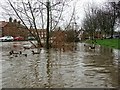 River Bain, Horncastle