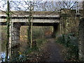 Railway Bridge in Hirst Wood