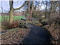 Footpath in Nab Wood