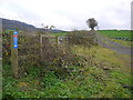 Slope in the Wye valley