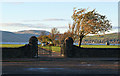 Battery Park, Greenock