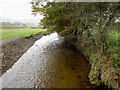 Looking north along Thackthwaite Beck