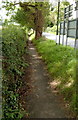 Pavement alongside The Avenue from Cam to Stinchcombe