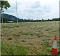 Traffic cone and a rugby pitch, Stinchcombe