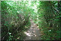 Sussex Border Path approaching Sharpthorne