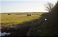 Bales near Narkurs