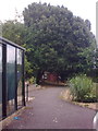 TM3876 : Garden at Highfield Residential Home by Geographer