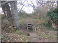 NZ2639 : Footbridge and steps in Low Burnhall Wood by peter robinson