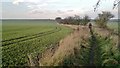 Path towards Eckington