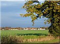 Houses in the Distance