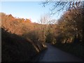 Slope towards Huxford Bridge