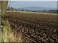NU0310 : Ploughed field at Yetlington Lane by Russel Wills
