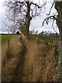 Footpath to The Logan drovers