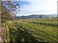 Pasture east of High Houses