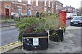 Planters and Post Box, Broomspring Lane, Broomhall, Sheffield