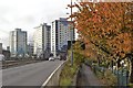 Trees, Towers and Trams, Netherthorpe Road, Shalesmoor, Sheffield