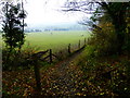 Misty field with ponies south west of Stoughton