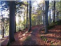 Path, Dunkeld