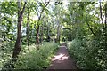 Riverside path, Gateshead