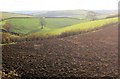 Countryside near Baddaford