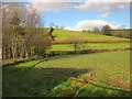 Farmland, Baddaford