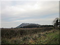 SJ5458 : View towards Beeston Castle by Jeff Buck