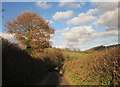 Lane north of Gullaford