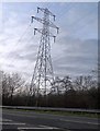 Pylon by Schleswig Way