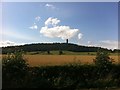 Farmland to the east of Abbey Craig